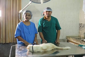 Veterinary & Animal husbandry